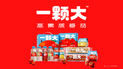 一顆大櫻桃番茄的東南亞之旅 中國(guó)蔬菜“出?！卑鎴D再拓展